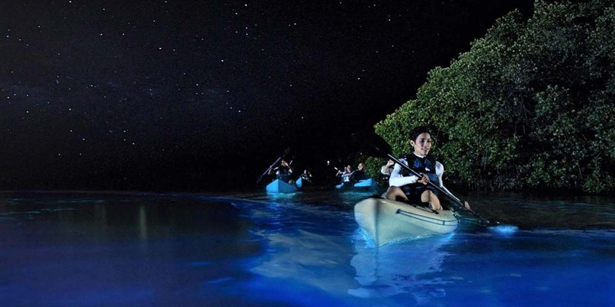 Laguna de Manialtepec: el paraíso bioluminiscente de Oaxaca que debes ver de noche