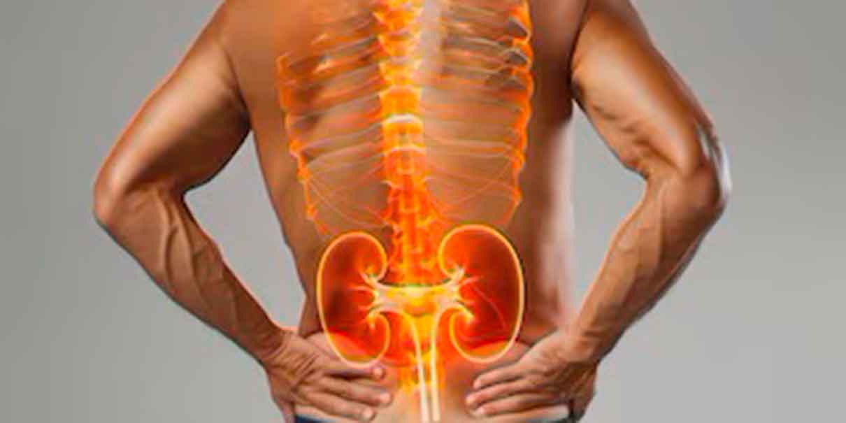 Salud renal