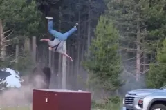 Bisonte embiste y lanza por los aires a un turista en Yellowstone; el ataque quedó grabado