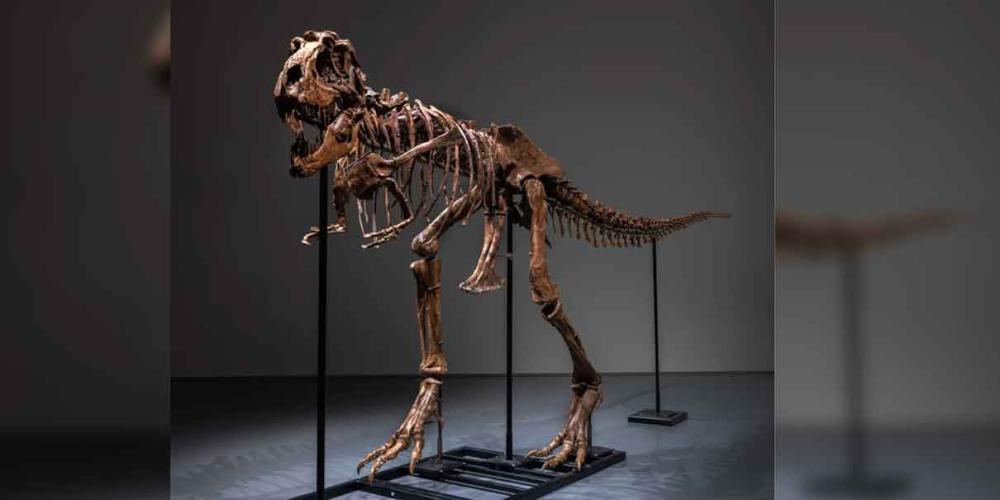 Subastan en Estados Unidos esqueleto de un dinosaurio de hace 77 millones de años