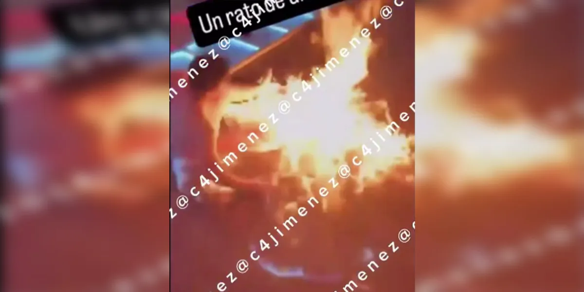 VIDEO. Miembros de “Los Malportados” DESNUDAN y QUEMAN VIVO a cantante de grupor norteño 
