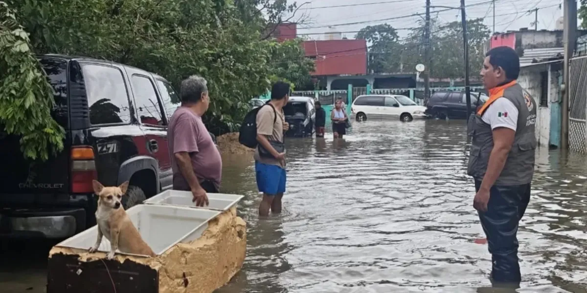 Frente frío golpea Veracruz: 10 muertos, ríos desbordados e inundaciones