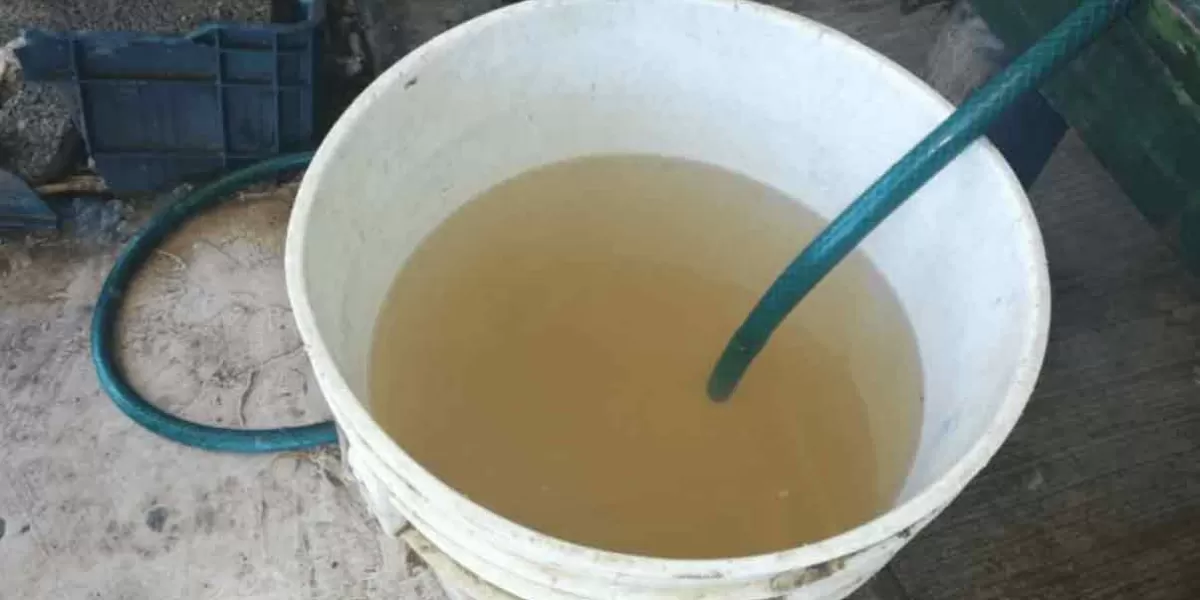 Reportan otro caso de agua contaminada en la CDMX, ahora en la Gustavo A. Madero