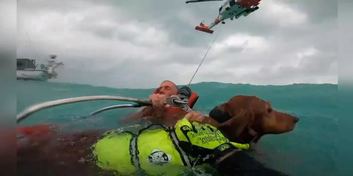 VIDEO Rescatan a hombre y a su perro en medio del huracán Helene