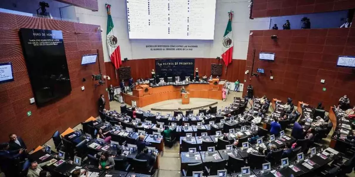 Avala Senado retorno de Pemex y CFE como “empresas públicas”