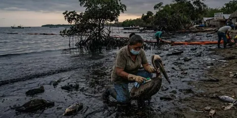 Pescadores denuncian inacción y versiones contradictorias tras desastre en el Golfo de México