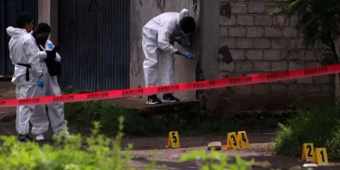 Sheinbaum destaca disminución del 44% en homicidios en el país