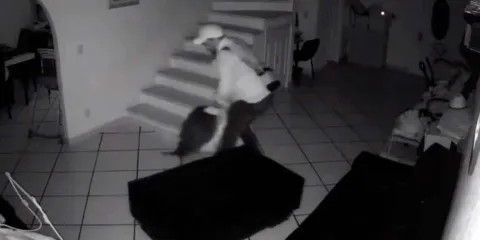 Mujer denuncia violencia familiar en Morelos; VIDEO muestra brutal refriega 
