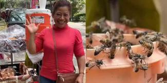 VIDEOS: "Reina de las abejas", la puedes conocer en La Condesa 