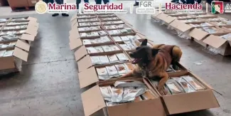 Binomio canino detecta una tonelada de café con presunta cocaína en el AICM
